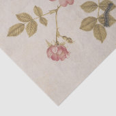 Twee Dog-Rozen en een Lackey Moth Caterstyle Tissuepapier (Detail)