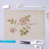 Twee Dog-Rozen en een Lackey Moth Caterstyle Tissuepapier (Craft)