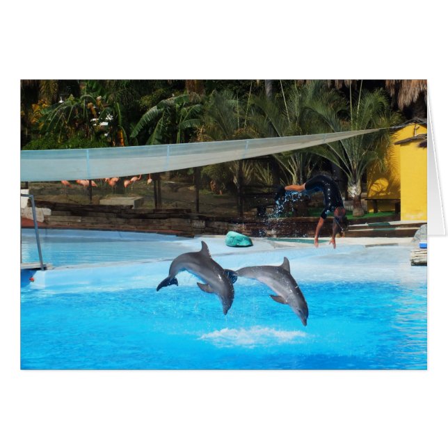 Twee dolfijnen (Voorkant Horizontaal)