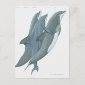 Twee dolfijnen met lenosie briefkaart (Voorkant)