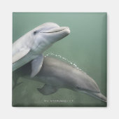 Twee Dolfijnen onder water Magneet (Voorkant)