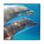 Twee dolfijnen zwemmen tegeltje (Voorkant)