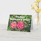 Twee donkerroze rozen met donkergroene bladeren kaart (Gele Bloem)