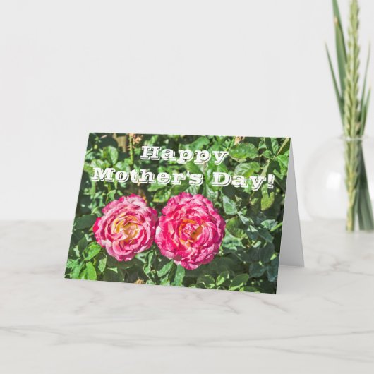 Twee donkerroze rozen met donkergroene bladeren kaart (Voorkant)