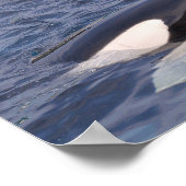 Twee doodwalvissen poster (Hoek)