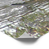 Twee Drake en een Hen Wood Duck Poster (Hoek)