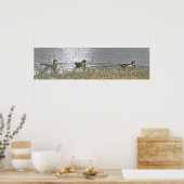Twee Drake en een Hen Wood Duck Poster (Keuken)