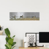 Twee Drake en een Hen Wood Duck Poster (Thuiskantoor)