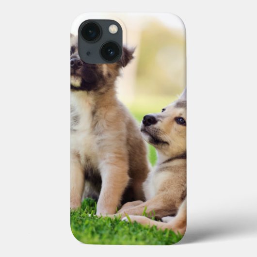 Twee Duitse herderspuppy's Case-Mate iPhone Case (Achterkant)