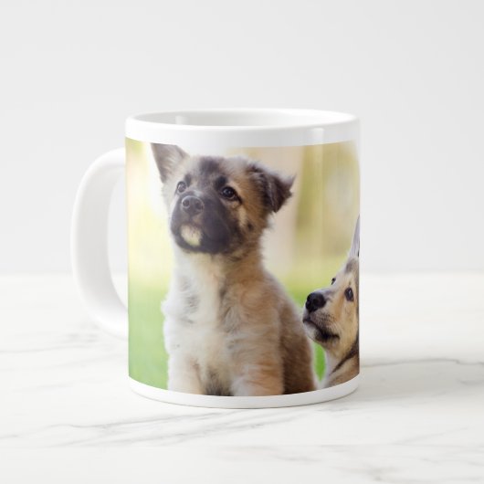 Twee Duitse Puppies Grote Koffiekop (Links)