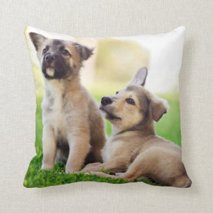 Twee Duitse Puppies Kussen