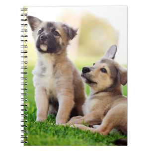 Twee Duitse Puppies Notitieboek
