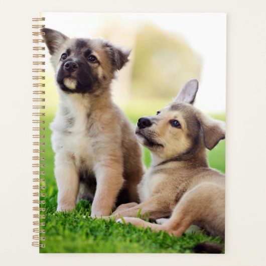 Twee Duitse Puppies Planner (Voorkant)