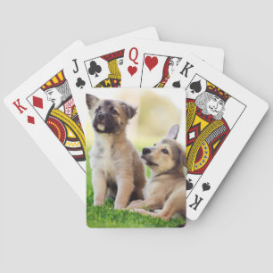 Twee Duitse Puppies Pokerkaarten