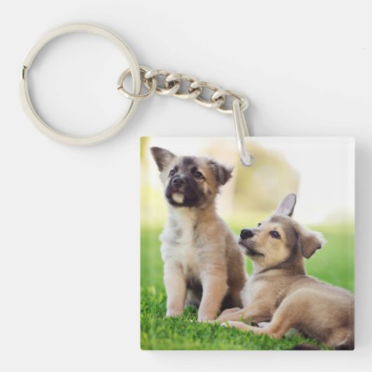 Twee Duitse Puppies Sleutelhanger (Voorkant)