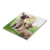 Twee Duitse Puppies Tegeltje (Zijkant)