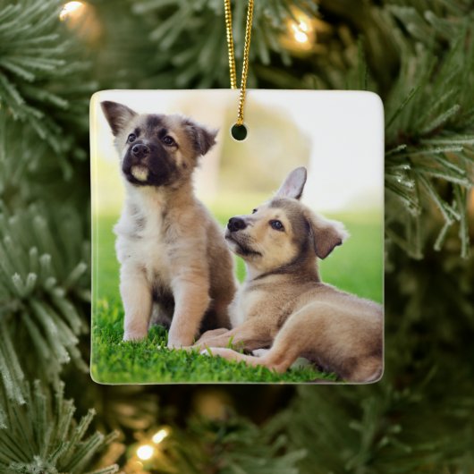 Twee Duitse Puppies van Shepherd Keramisch Ornament (Boom)