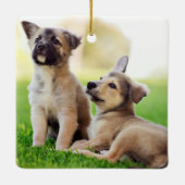 Twee Duitse Puppies van Shepherd Keramisch Ornament (Achterkant)
