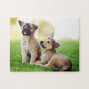 Twee Duitse Puppies van Shepherd Legpuzzel