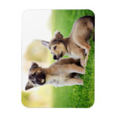 Twee Duitse Puppies van Shepherd Magneet (Verticaal)