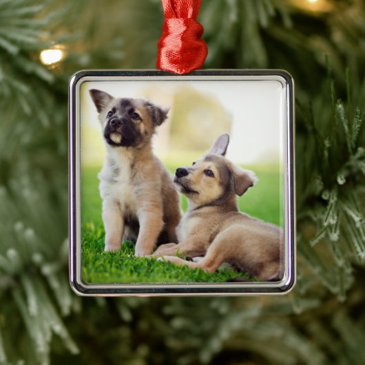 Twee Duitse Puppies van Shepherd Metalen Ornament (Boom)