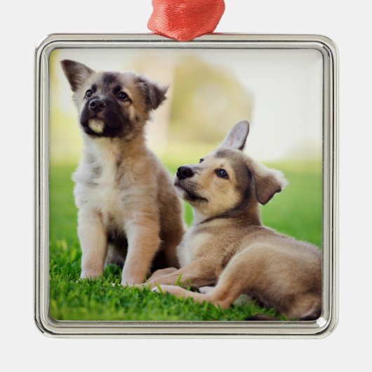 Twee Duitse Puppies van Shepherd Metalen Ornament (Voorkant)