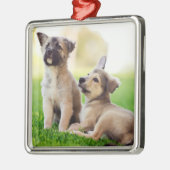 Twee Duitse Puppies van Shepherd Metalen Ornament (Links)