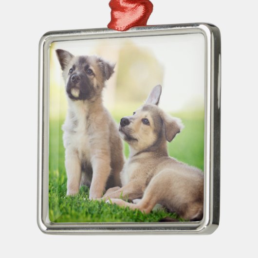 Twee Duitse Puppies van Shepherd Metalen Ornament (Links)