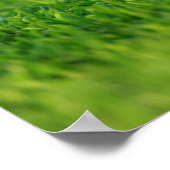 Twee Duitse Puppies van Shepherd Poster (Hoek)