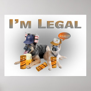 Twee Duitse Shepherd Legal Beer Drinkers Poster