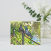 Twee duiven. Roath Park Lake, Cardiff, Wales (Staand voorkant)