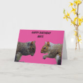 Twee Eekhoorns Happy Birthday Mate Kaart (Gele Bloem)