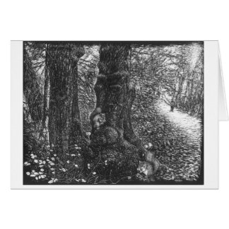Twee eekhoorns in de bossen