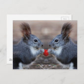 Twee eekhoorns met een leeshart briefkaart (Voorkant / Achterkant)