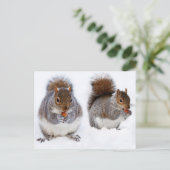 Twee eekhoornvaten beige etende noten briefkaart (Staand voorkant)