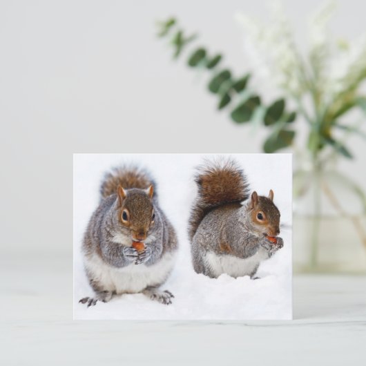 Twee eekhoornvaten beige etende noten briefkaart (Staand voorkant)
