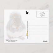 Twee eekhoornvaten beige etende noten briefkaart (Achterkant)