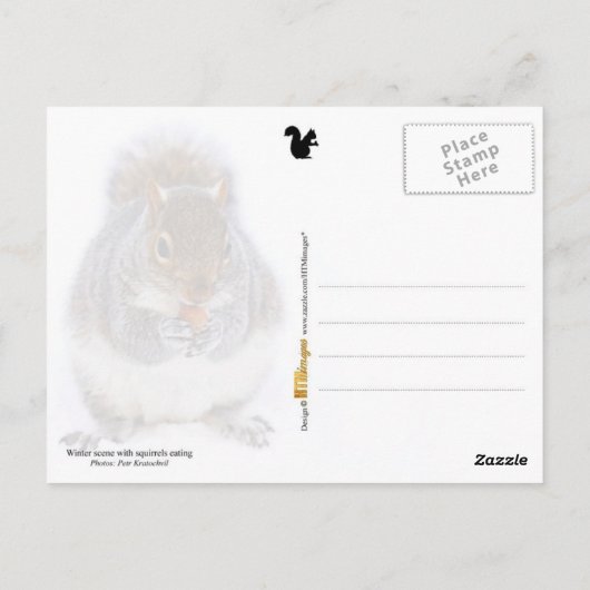 Twee eekhoornvaten beige etende noten briefkaart (Achterkant)