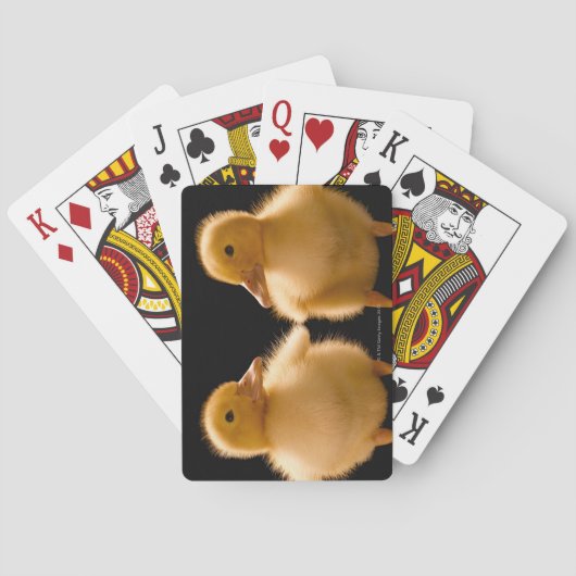 Twee eenden die elkaar bekijken speelkaarten (Achterkant)