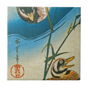 Twee Eenden die onder Riet zwemmen Tegeltje