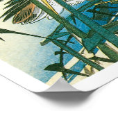 Twee eenden die zwemmen onder de riffen poster (Hoek)