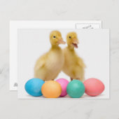 Twee eenden met Paaseieren Feestdagenkaart (Voorkant / Achterkant)