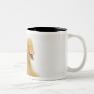 Twee eenden met paaseieren tweekleurige koffiemok