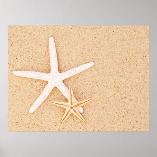 Twee eenvoudige Starvissen Poster (Voorkant)
