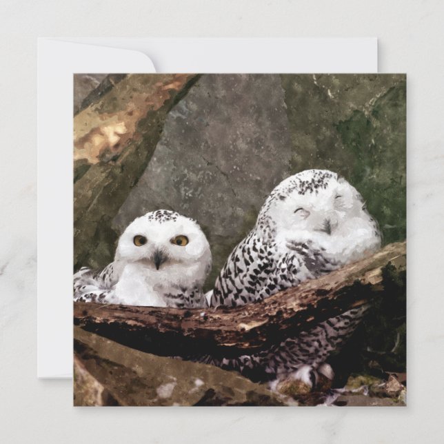 Twee Eigenaars (Voorkant)