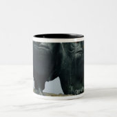 Twee Eigenaars, 1903-04 Tweekleurige Koffiemok (Center)