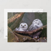 Twee Eigenaars Briefkaart (Voorkant / Achterkant)