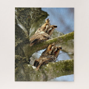Twee Eigenaars in Bossen, vogels, wilde dieren Jig Legpuzzel