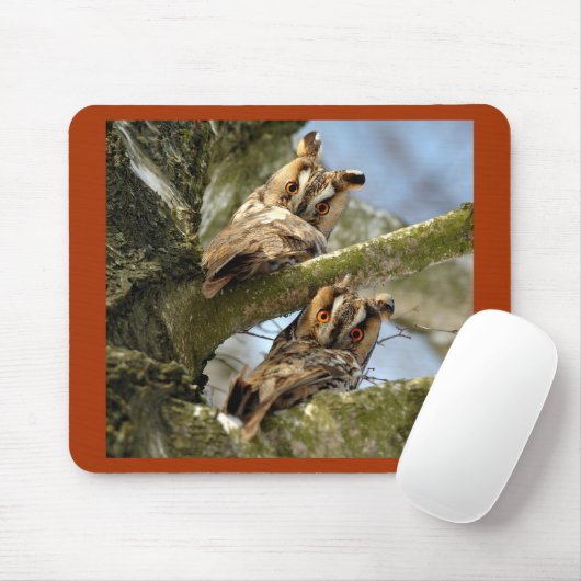 Twee Eigenaars in de Bossen, vogels, Muismat van w (Met muis)