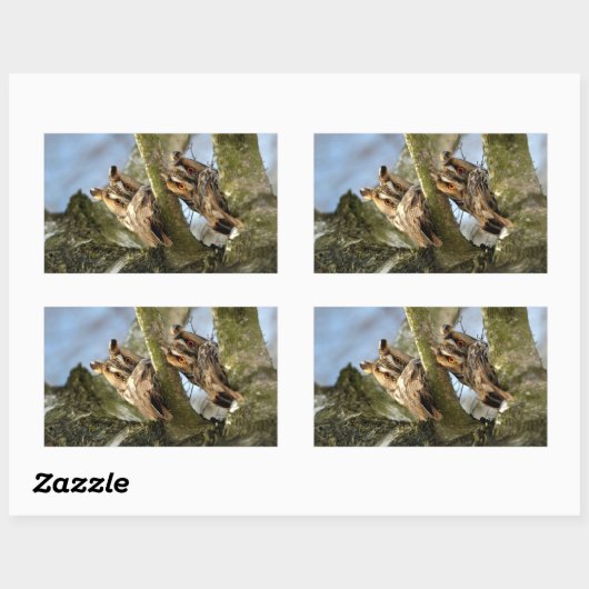 Twee Eigenaars in de Bossen, vogels, wilde dieren, Rechthoekige Sticker (Vel)